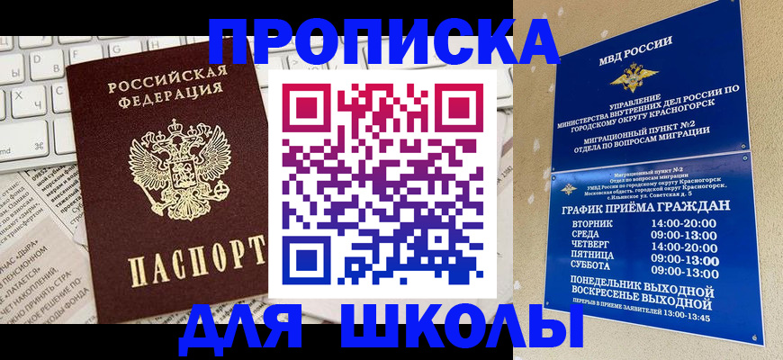 прописка законно в Мытищах